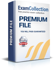 PPS Premium File